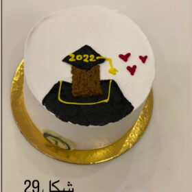 ميني كيك رسم )lunch cake2